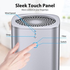 Home Air Purifier for Allergies Pet True HEPA Large Room Air Cleaner Smoke Eater