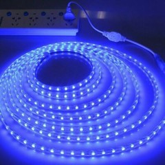110V 220V 1m-20m Waterproof 5050 LED Flexible Tape Rope Strip Light Xmas Outdoor