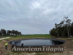 Pond liner 100×80 Strong,HDRPE 40 year Durability,Commercial grade for Fish pond