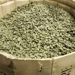 100% Jamaican Blue Mountain Coffee Beans Dark Roasted Daily 2 to 10 Pounds