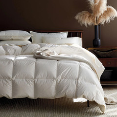 [FLASH SALE] The Company Store LaCrosse Premium Down Light Warmth Comforter