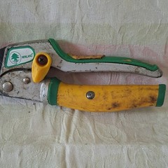 Winland Standard Pruning Shears Safety Lock 3″ Steel Blade 8in Yellow/Gree