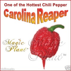 Carolina Reaper Pepper Powder – Non-GMO Reaper World’s Hottest Pepper (6 sizes)