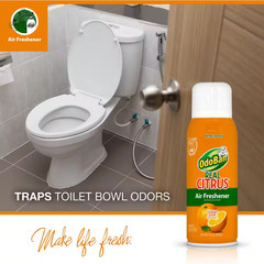 10 Oz. Orange Real Citrus Air Freshener Spray, Citrus Oil Natural Air Freshener,