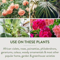 Garden Safe Brand TakeRoot Rooting Hormone, 2 Count, Powder Helps Grow New Plant