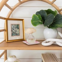 GREENLEAF Flower Diffuser – Diffuses 30 Days – Made in The USA – Classic Linen