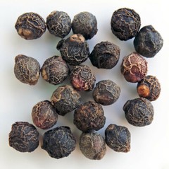 Organic Green Malabar Spinach Seeds Alugbati Mồng Tơi US Seller