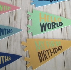 Moon and Stars Paper Milestone Pennant Set 14pc 0-12 Months 1st Birthday