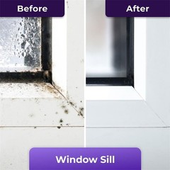 Mold Remover Gel Powerful Cleaning Gel Mild formula Easy to use TL