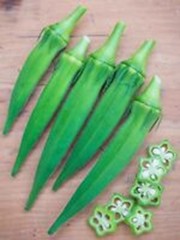2026 Heirloom Vegetable Seeds – Premium Garden Seeds for Planting
