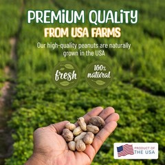 Snaky Mango Raw Peanuts in Shell – 1 Pounds – All-Natural Food for Squirrels,…