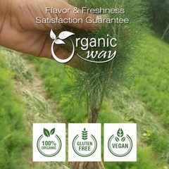 Organic Way Dried Shatavari Cut & Sifted – Organic, Kosher & USDA Certified
