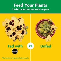 Water Soluble All Purpose Plant Food, for All Plant Types, 5 Lbs.