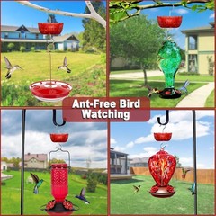 Moinmoly Ant Moat for Hummingbird Feeders 6 OZ, 4 Pack, Red Vintage Ant Guard…