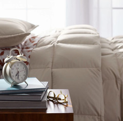 [FLASH SALE] The Company Store LaCrosse Premium Down Light Warmth Comforter