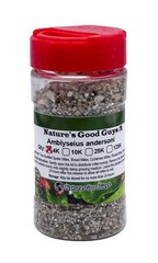 NaturesGoodGuys – Amblyseius andersoni – Predatory Spider Mite Control
