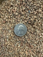 Horticultural Turface MVP 12 dry quart – Cactus Succulent Bonsai Soil Amendment