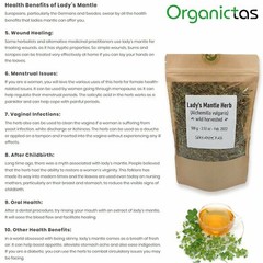Organic LADY’S MANTLE Herb Tea Dried Alchemilla Vulgaris Wild Harvest 25 – 200g