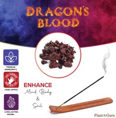 DRAGONS BLOOD Incense Sticks 11″ Bulk Pack Wholesale Hand Dipped Lot