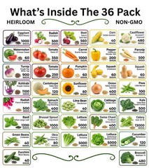 20-50 Variety Heirloom Vegetable Herb Seeds Kit 10000-50000 Bulk Garden Seed Lot
