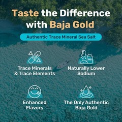Baja Gold Signature Mineral Sea Salt – Recommended by Gary Brecka – Organic N…