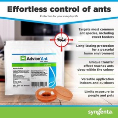12 Count Bag Advion Ant Bait Arena Stations Pest Control Syngenta ANTS