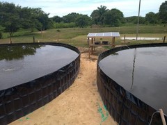 35×60 Pond Liner, durable,strong, waterproof,fish safe, HDRPE, Free Shipping!