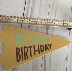 Moon and Stars Paper Milestone Pennant Set 14pc 0-12 Months 1st Birthday