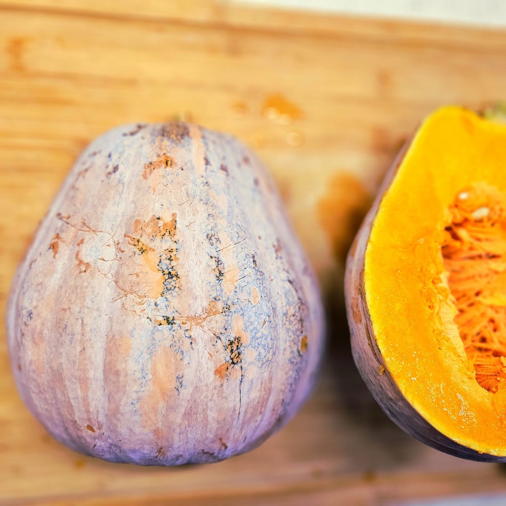 25 ORGANIC HEIRLOOM SEMINOLE PUMPKIN SEEDS/ SQUASH SEEDS.
