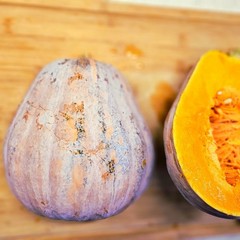 25 ORGANIC HEIRLOOM SEMINOLE PUMPKIN SEEDS/ SQUASH SEEDS.