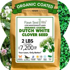 Dutch White Clover Seed, Organic Coated, Eco-Friendly, Low Maintenance