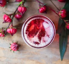 Red Hibiscus Roselle Seeds | Sabdariffa Sour Leaf Sorrel Chin Baung Jamaican