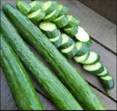 25+ Japanese Long Burpless Cucumber Seeds — Heirloom — NON GMO