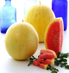 24 Golden Midget Watermelon Seeds – Mini —- Heirloom — Non GMO — Organic