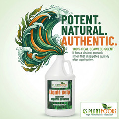 Organic Liquid Kelp Seaweed