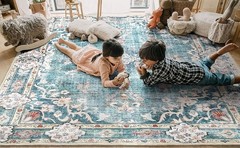 Boho Rug 3’x5′ Machine Washable Teal Small Area Rugs for Entryway Bedroom