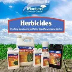 Monterey LG5328 Getter, Post Emergence Herbicide for Grass Weeds, 8 oz