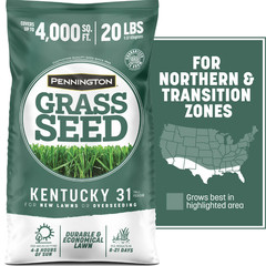 Pennington Kentucky 31 Tall Fescue Grass Seed Sun to Partial Shade 20 lb Bag New