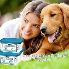 Indoor Air Purification Dust Removal Magic Box Multi-Functional Air Magic Box
