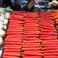 Red Fruit Carrot Seeds – 1000 Seeds – Non-GMO Heirloom Root Vegetable
