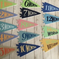 Moon and Stars Paper Milestone Pennant Set 14pc 0-12 Months 1st Birthday