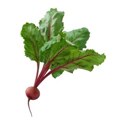 Beet Root Powder 2 lb Beta vulgaris Raw Non-GMO Nitric Oxide Remolacha en Polvo