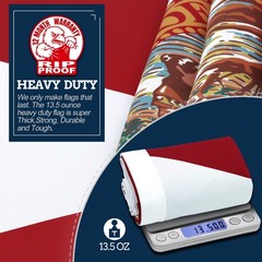 Anley Rip-Proof Double Sided 3-Ply Florida State 3×5 Ft USA FL State Flags