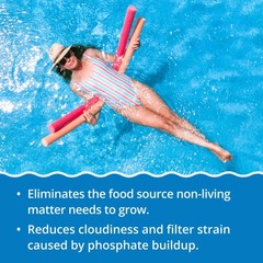 In The Swim – Pure Clear & No Phos – Reduces Phosphates & Removes Non-Living