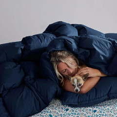The Company Store LaCrosse Premium Down Light Warmth Comforter Queen/King