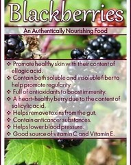 Blackberry Seeds Homegrown Edible Garden Berry Bush Organic Fruit NonGMO TX USA