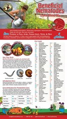 Live Beneficial Nematodes – 15 Million Hb+Sc+Sf – Kills over 200 Different Speci