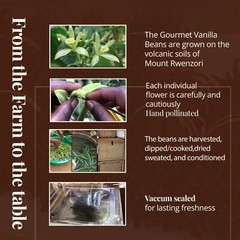 Bulk Vanilla Beans Grade A, Gourmet Vanilla Beans For Vanilla Extract