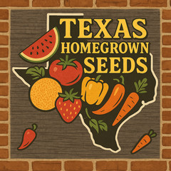 25 Heirloom Rich Sweetness Melon Seeds – Candy Sweet Personal Sized Exotic Melon