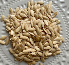 40 Rare Heirloom Pike Cantloupe Seeds Extremely Heat Tolerant 3-6LB Sweet Melon